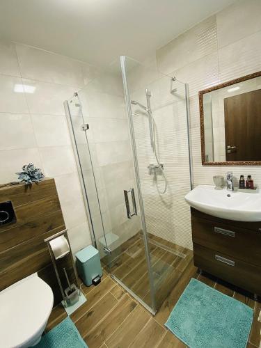 a bathroom with a shower and a toilet and a sink at Demaris in Třebíč