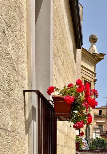 a flower pot on the side of a building with red flowers at San Michele delle grotte BnB in Gravina in Puglia