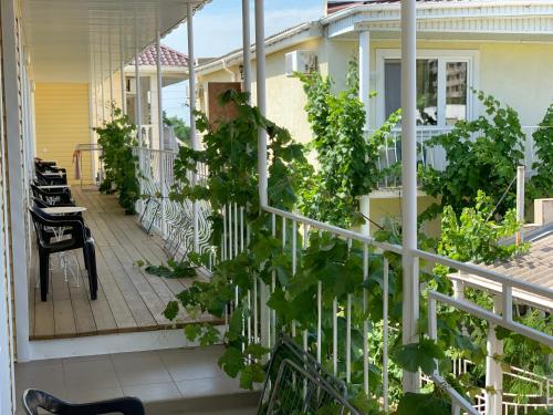 a balcony with a bunch of plants on it at Hotel Lev in Zatoka