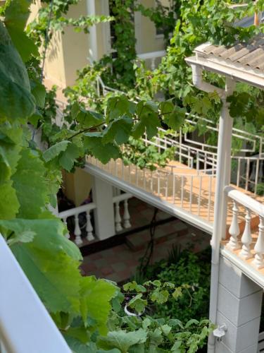 a balcony with plants on the side of a building at Hotel Lev in Zatoka
