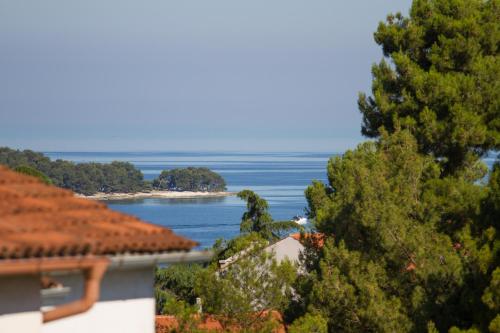 Studio Apartman Nega 2