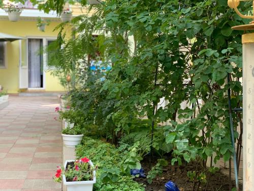 a garden with plants and flowers in buckets at Hotel Lev in Zatoka