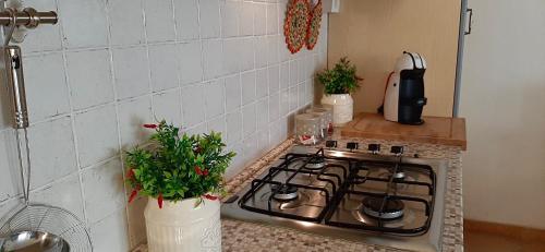 Kuchyň nebo kuchyňský kout v ubytování Casa Diletta