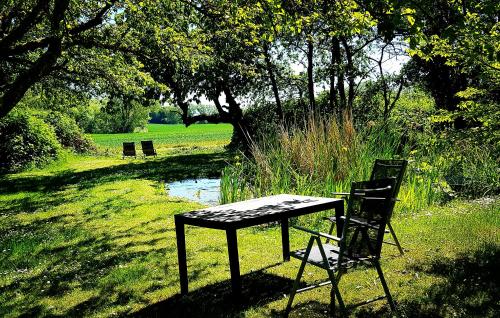 a table and two chairs sitting next to a field at Hof Garz in Poseritz