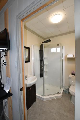 a bathroom with a shower and a sink and a toilet at Motel Riviere Trois Pistoles in Trois-Pistoles
