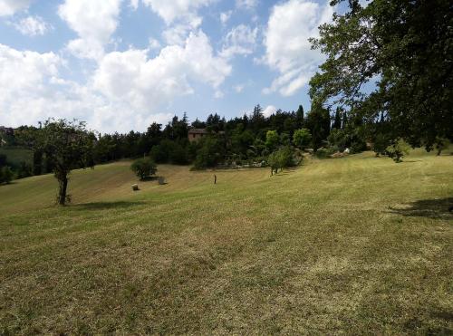 a large field of grass with trees in the background at B&B Il Monchetto in Urbino