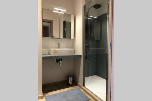 un bagno con doccia e lavandino di Villa Fogata à l'Ile Rousse vue mer exceptionnelle a LʼÎle-Rousse