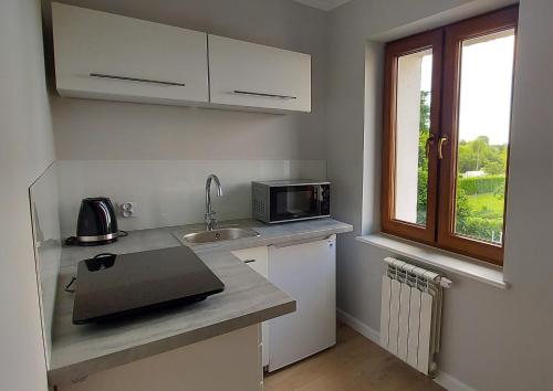 a small kitchen with a sink and a microwave at Pokoje Gościnne Cztery Wiatry in Frombork