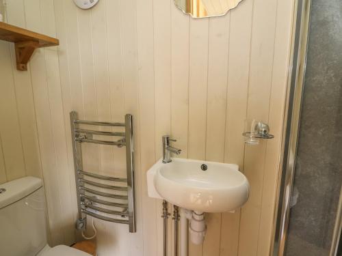 a bathroom with a sink and a toilet at Ivy's Way in Rhayader
