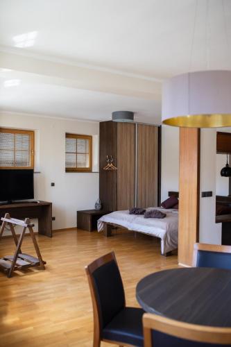 um quarto com uma cama, uma mesa e uma televisão em Apartmány VÍNO HRUŠKA Pardubice em Pardubice