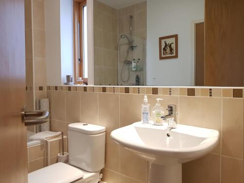 特魯羅的住宿－Chy Bre，浴室配有白色水槽和卫生间。