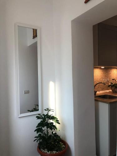 a bathroom with a mirror and a potted plant at Sea Studio in Constanţa