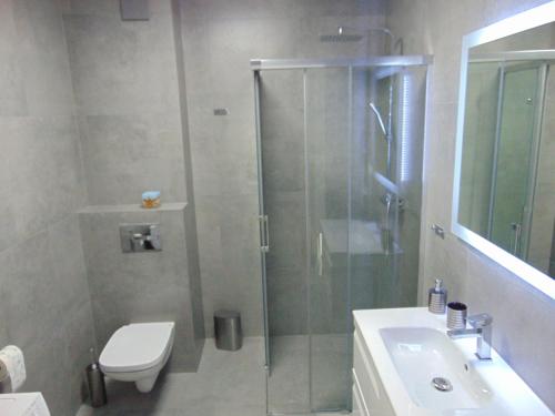 Un baño con ducha, inodoro y lavabo. en GARDENIA Apartament Przy Plaży 19, en Dziwnów
