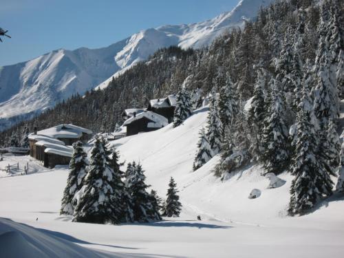 a snow covered mountain with trees and a cabin at B&B Il Pettirosso in Malonno