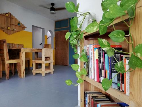 a room with a book shelf filled with books at Bermejo Hostel in La Paz