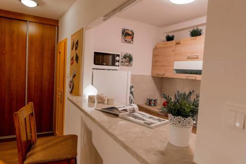 una cocina con una encimera con un teléfono. en Apartament Słoneczny, en Zbąszyń