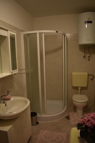 een badkamer met een douche, een toilet en een wastafel bij Apartment Eni in Matulji