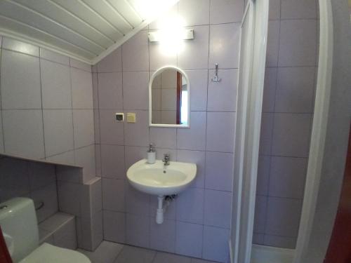 a bathroom with a sink and a mirror and a toilet at Pokoje gościnne Akacja Resko in Dźwirzyno