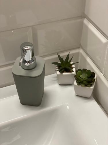 a bathroom sink with two plants and a faucet at GabEnd’i Apartman in Eger