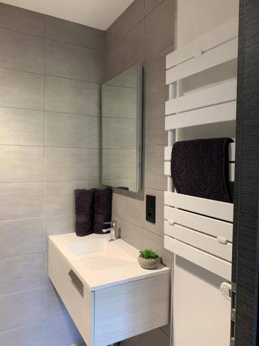a bathroom with a sink and a mirror at La Petite Maison 1933 in Vesoul
