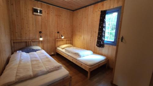 two beds in a room with wooden walls and a window at Solheim. Hytte med 2 soverom in Birkenes