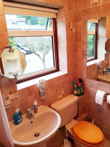 a bathroom with a sink and a toilet and a window at Studio Garden Flat in Warlingham