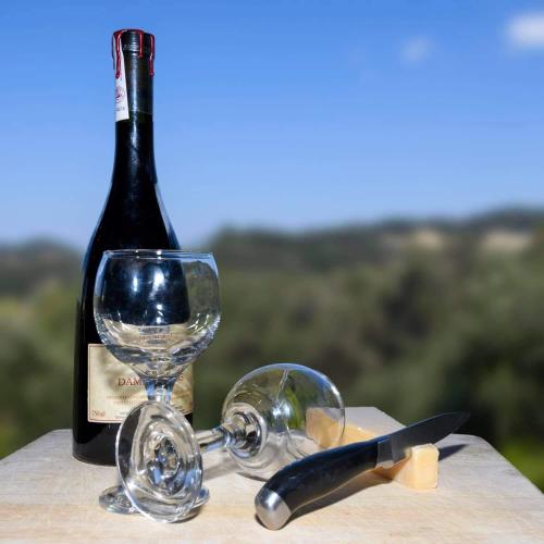 a bottle of wine and a glass and a knife at Elena-Stella Apartments Arillas Corfu in Arillas
