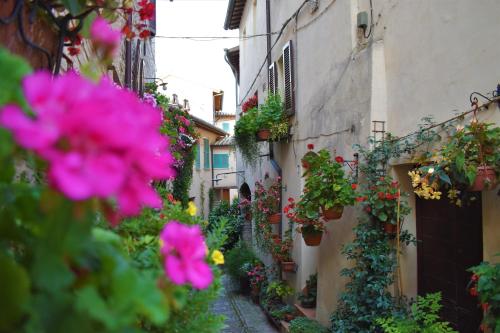 Giardino di Borgo San Sisto Apartment