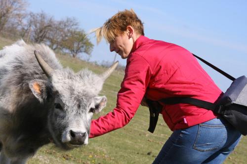 a woman is petting a cow in a field at Gedeon Tanya Panzió in Jakabszállás
