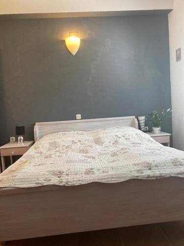 a bedroom with a large bed with a blue wall at Casa Fumica Apartment in Palit