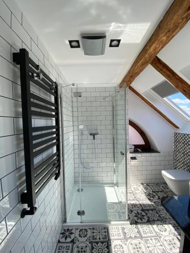 a bathroom with a shower with a toilet and a sink at Willa Oktawia in Niechorze