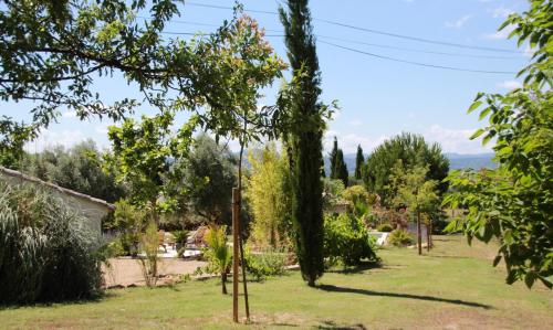 a garden with trees and a pole in the grass at Mas de la Frigoule in Le Pouget