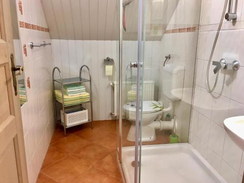a bathroom with a toilet and a glass shower at Apartment Milena in Nomenj