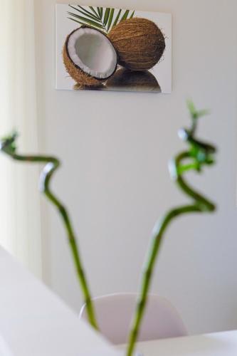 a picture of a coconut and two plants in a bathroom at Savvas Apartment in Tolo