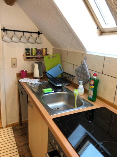Dapur atau dapur kecil di SaidenbachHaus
