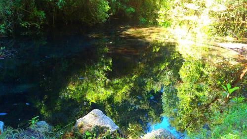 a pool of water with trees and rocks in it at Cabañas Los Canelos Pucon, Hermosa Granja de 20 hectaréas a orillas del Río Liucura in Pucón