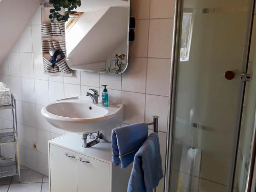 Ett badrum på Apartment Bömitz