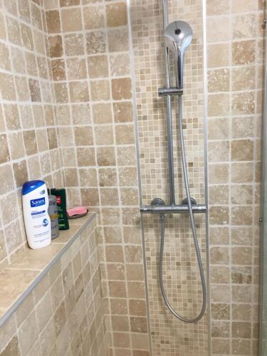eine Dusche mit Duschkopf im Bad in der Unterkunft Chambres dans villa avec piscine in Gleizé
