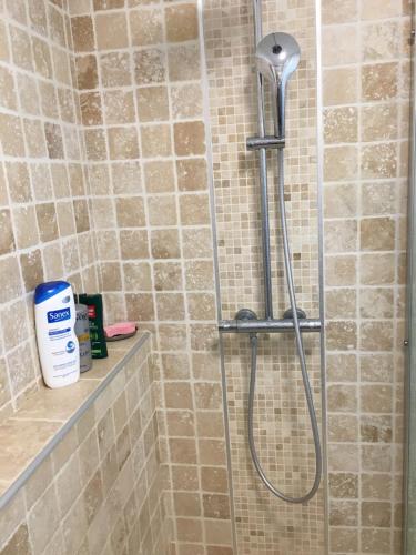 a shower with a shower head in a bathroom at Chambres dans villa avec piscine in Gleizé