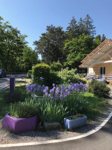 a garden with purple plants and purple flowers at Les Marmottes in Excénevex