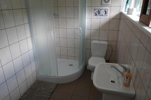 ein Badezimmer mit Dusche, Toilette und Waschbecken in der Unterkunft Latava in Anykščiai