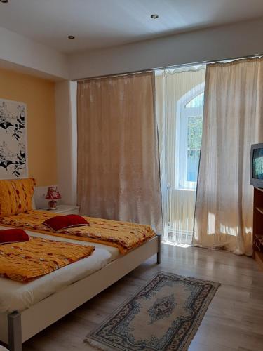 a bedroom with two beds and a window with a television at CAZARE LA ESPAÑOLA in Haţeg