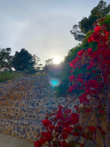 Φυσικό τοπίο κοντά σε αυτό το ξενοδοχείο διαμερισμάτων