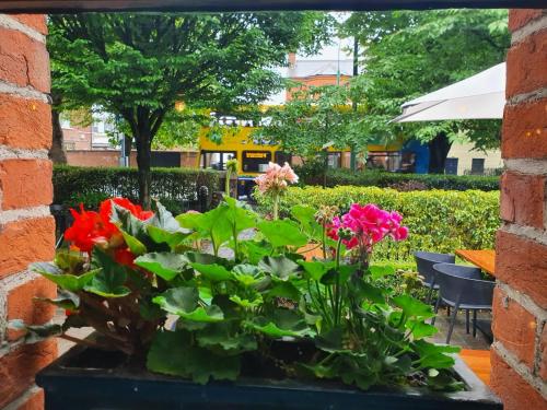 Un jardín fuera de Schoolhouse Hotel