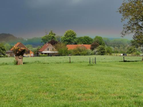 Příroda nedaleko bed and breakfast