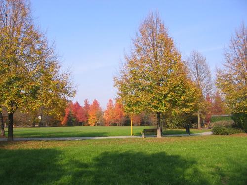 a park with trees and a bench in the grass at Solare B&B in Mestre
