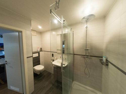 a bathroom with a shower and a toilet and a sink at Ferienwohnung am Rheinsteig in Bendorf