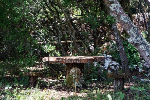 Φωτογραφία από το άλμπουμ του Casal das Fontainhas σε Alcobaça