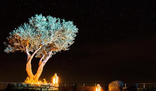 a tree with lights in front of it at night at Villa Horizon in Skouloúfia