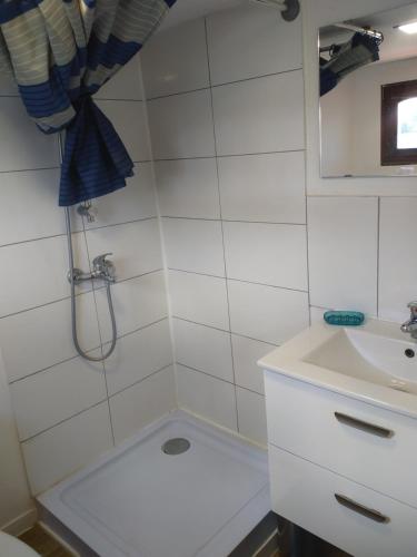een badkamer met een douche en een wastafel bij Studio sur l'eau - Bateau Diva in Conflans-Sainte-Honorine